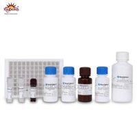 BeneSphera HIV Advanced ELISA Kit