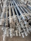 Ring Lock - Steel Tube 48x3mm | Ledger Components, Electric Galvanized, High Protected Painted, Hot Dip Galvanized Surface Treatment