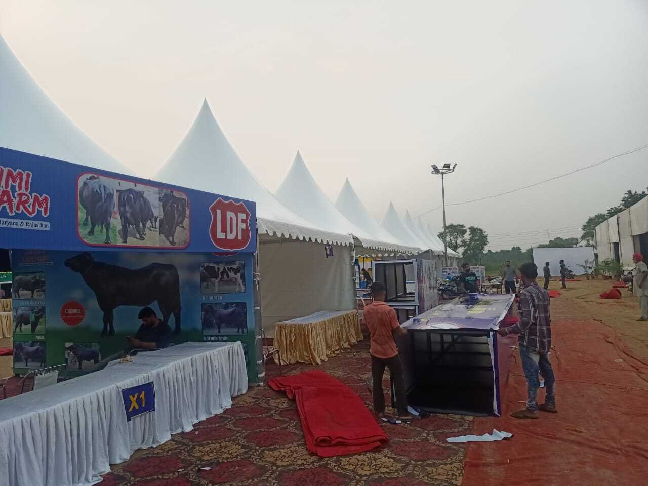 German Pagoda Canopies