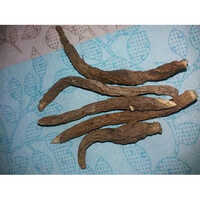 Akarkara Root