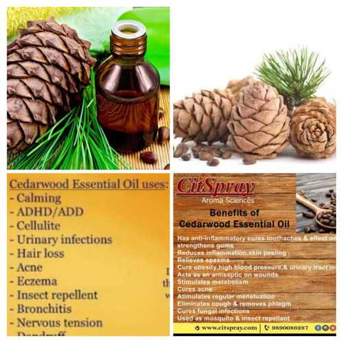 Natural Cedarwood Essential Oil