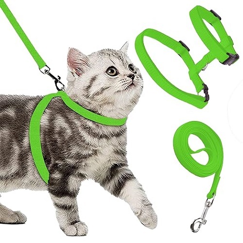 Basic Full Body Cat Harness