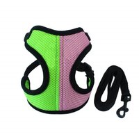 Casual Mesh Harness Set