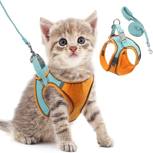 Cat Vest Harness With Leash