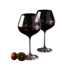 Bohemia Crystal Viola Wine Glass Set 570ml Set of 6 Transparent