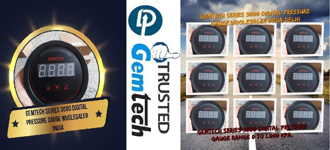 GEMTECH Series 3000 Digital Pressure Gauge with Alarm Range 0 to 500 PASCAL Jalaun