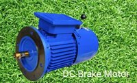 DC Brake Motor