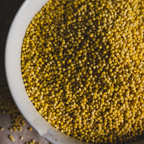 Yellow Millets