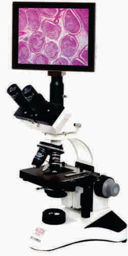 Research Trinocular Microscope With Camera model-TFT