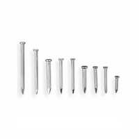 Steel Interlocking Nails - Stainless Steel, Multiple Sizes, Silver Round Head Design | Ideal For Heavy-duty Industrial Applications