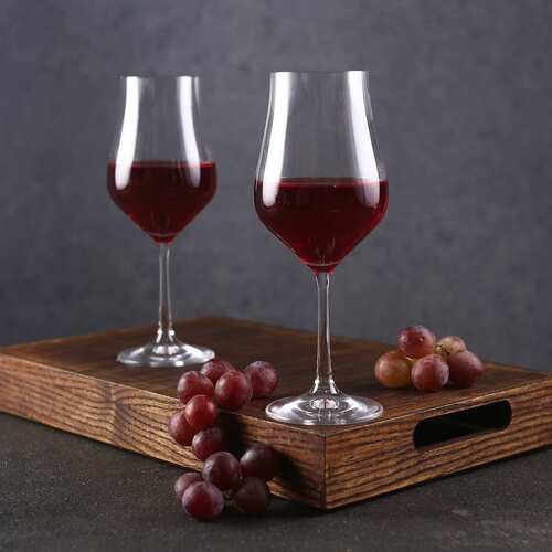 bohemia crystal Tulipa Red Wine Glass Set  350ml Set of 6 Transparent