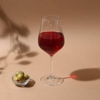 bohemia crystal Tulipa Red Wine Glass Set  350ml Set of 6 Transparent