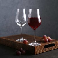 bohemia crystal Tulipa Red Wine Glass Set  350ml Set of 6 Transparent