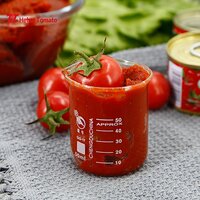 Canned Fine Tom Tomato Paste 210g