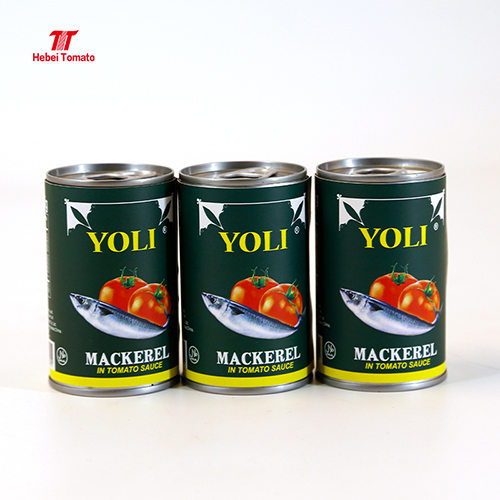 Canned Fish 425g