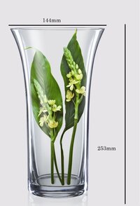 Glass Vase Bohemia Crystal Height 255 MM Set of 1 pcs