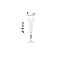 Bohemia Crystal Grace Champagne Flute 190 ML set of 6 pcs  Transparent  Non  lead Crystal