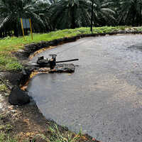 High Acid Crude Palm Oil