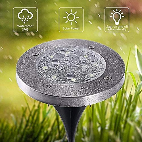 ms1 solar light