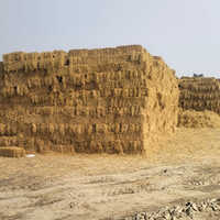 Square Paddy Straw Bales