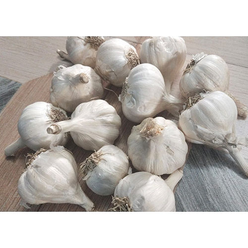 Fresh Garlic