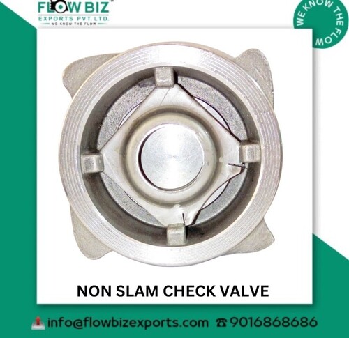 Non Slam Disc Check Valve Manufacturer in Gandhidham, Gujarat | Industrial Valve Supplier
