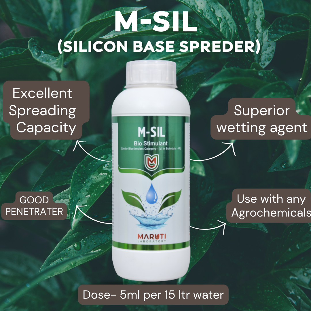 M-Sil Silicon Base Spreader And Sticker