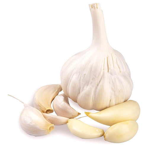 Solo Garlic Moisture (%): Nil