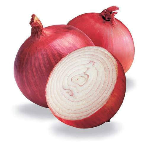 Fresh Organic Onion