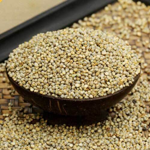 Pearl millet