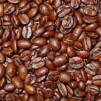 Arabica coffee