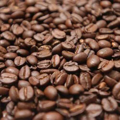 Robusta coffee