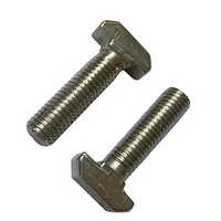 Stainless Steel T Bolt