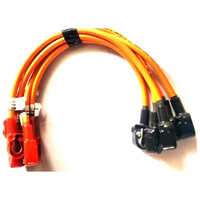 Two Wheeler Three Wheeler Battery Cable Harness