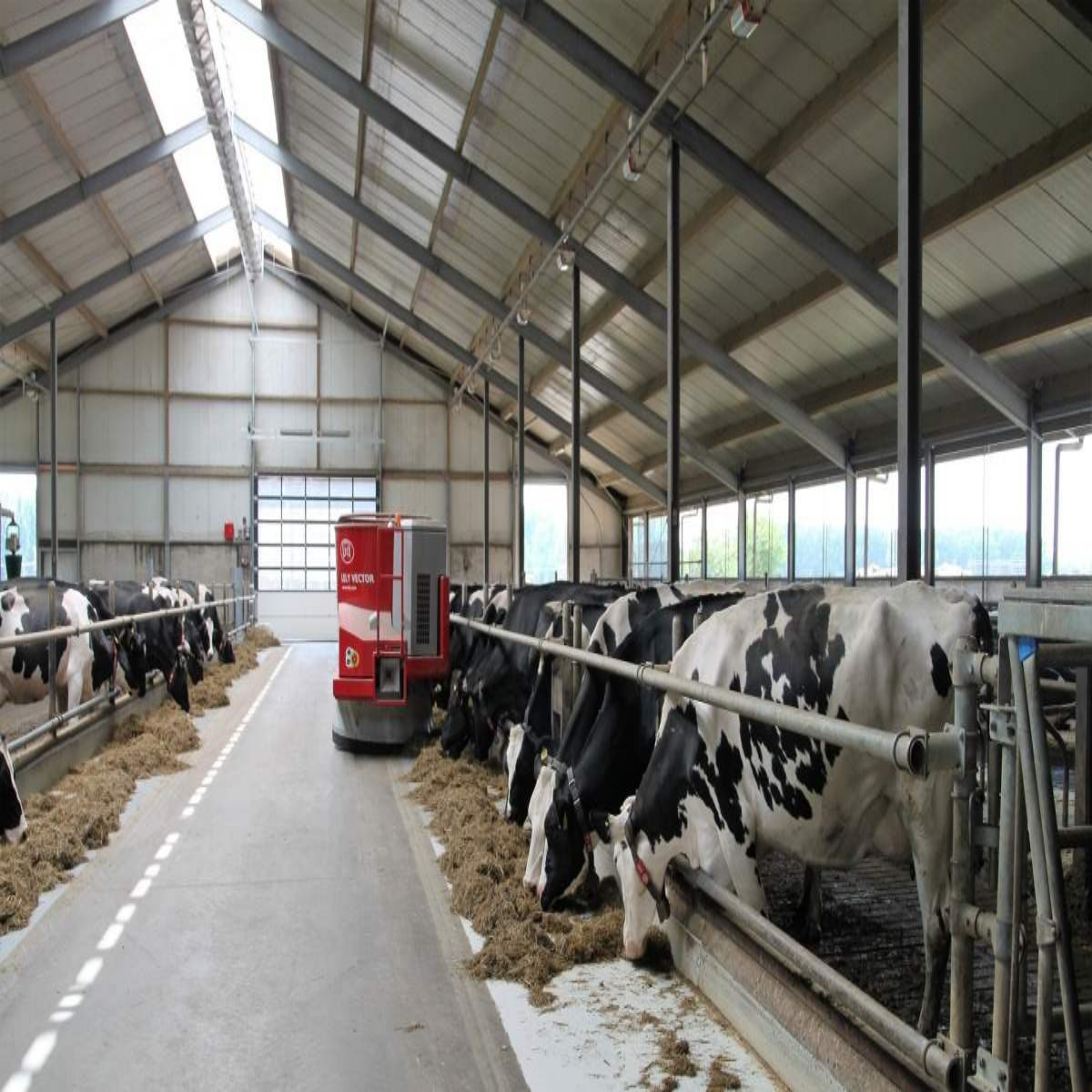Dairy Farm Shed