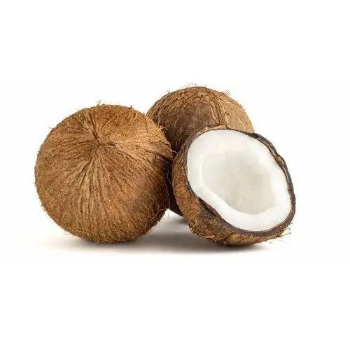 Indian Origin Natural Semi Husked Coconut