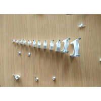 Cable Circle Nail Clip - Hdpe Material, 4 Mm Size, White Color | Suitable For Domestic, Industrial & Commercial Use, 1 Year Warranty