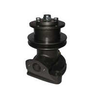 Schwing Stetter Water Pump Assembly - Color: Black