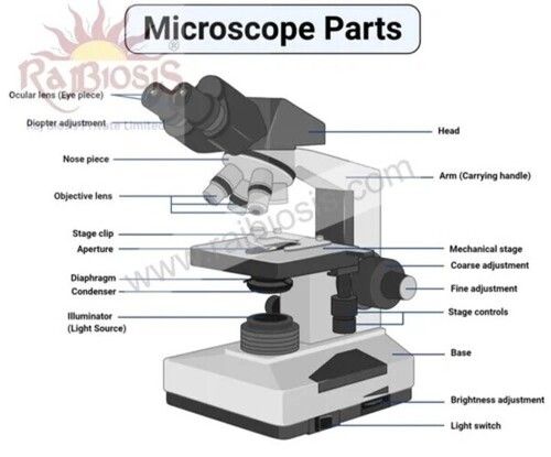 Tubler Microscope Standard at Best Price in Jaipur, Rajasthan | Raj ...