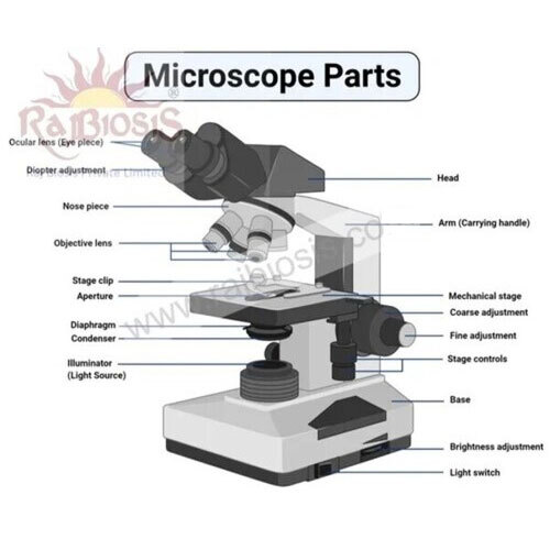 Tubler Microscope Standard