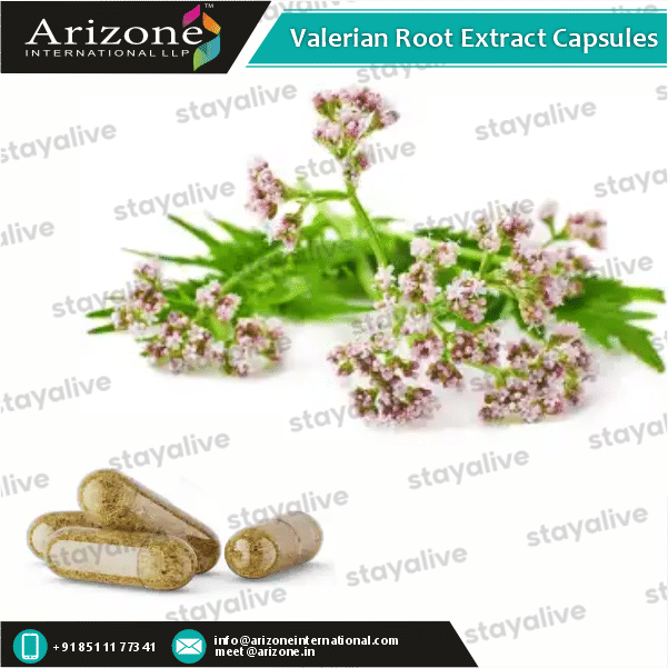 Valerian Root Extract Capsules