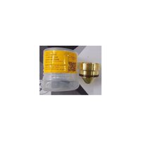 Kjellberg Nozzle Cap  118484011649