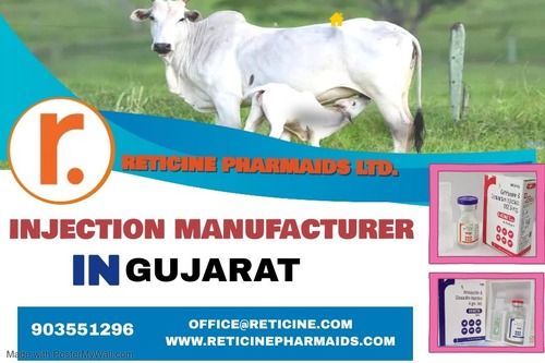 Injection Manufacturer In Gujarat