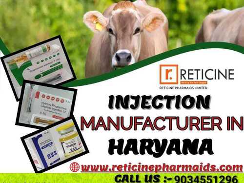 INJECTION MANUFACTURER IN HARYANA