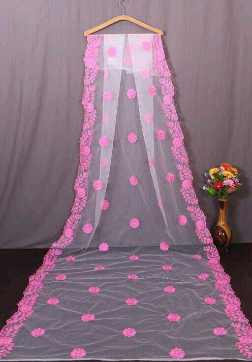 New Net Dupatta