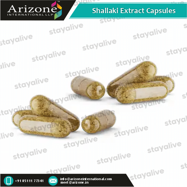 Shallaki Extract Capsules