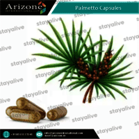 Palmetto Capsules