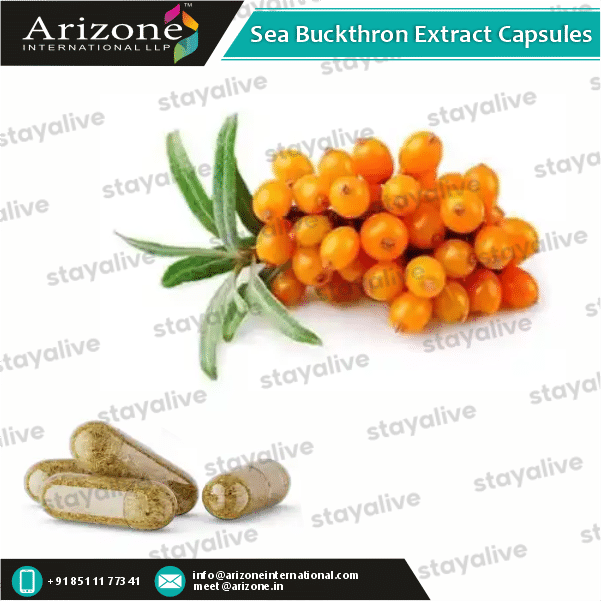 Sea Buckthorn Extract Capsules