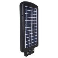 100W LED SOLAR STREET LIGHT INT. CW SG-10W