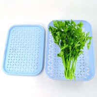 1 PC KOTHMIR BASKET WIDELY USED IN ALL TYPES OF HOUSEHOLD PLACES FOR HOLDING AND STORING VARIOUS KINDS OF FRUITS AND VEGETABLES ETC.